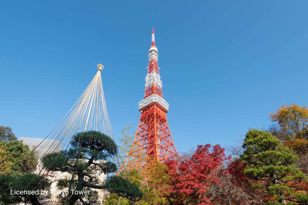 Tokyo Tower Tokyo Tower