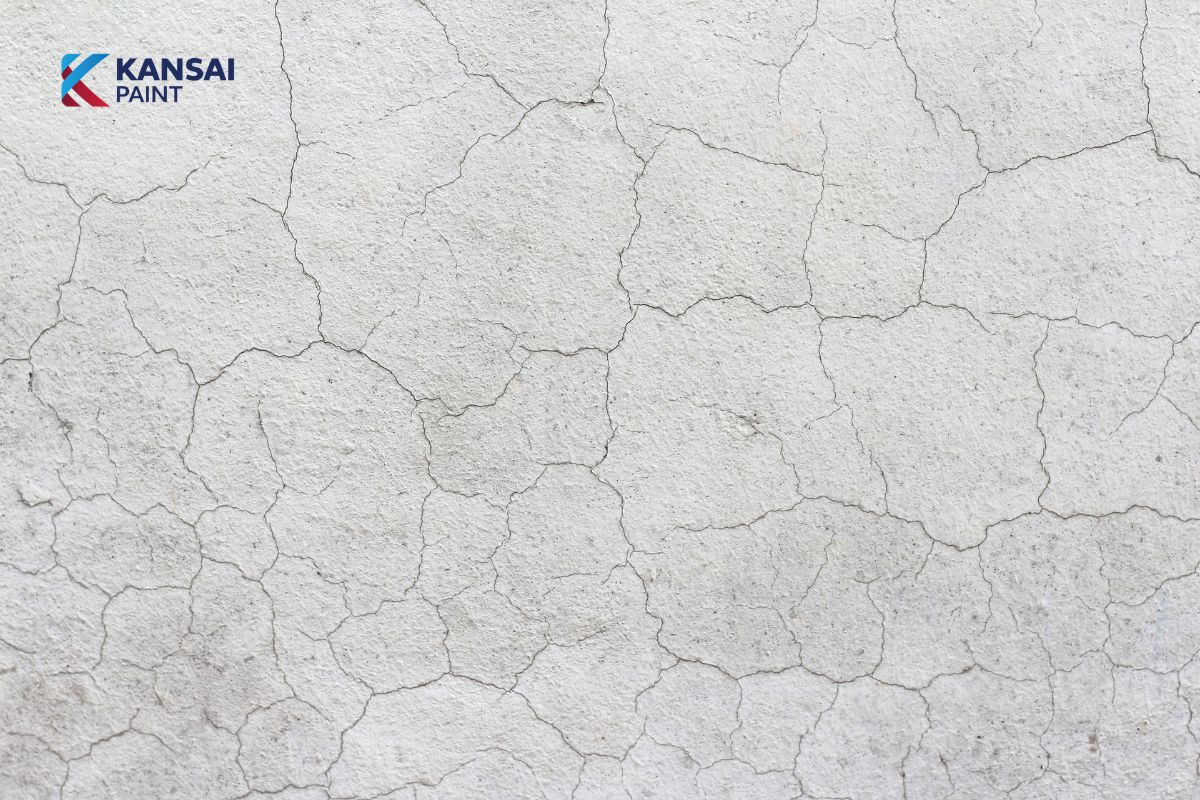Sơn che phủ vết nứt Sơn che phủ vết nứt