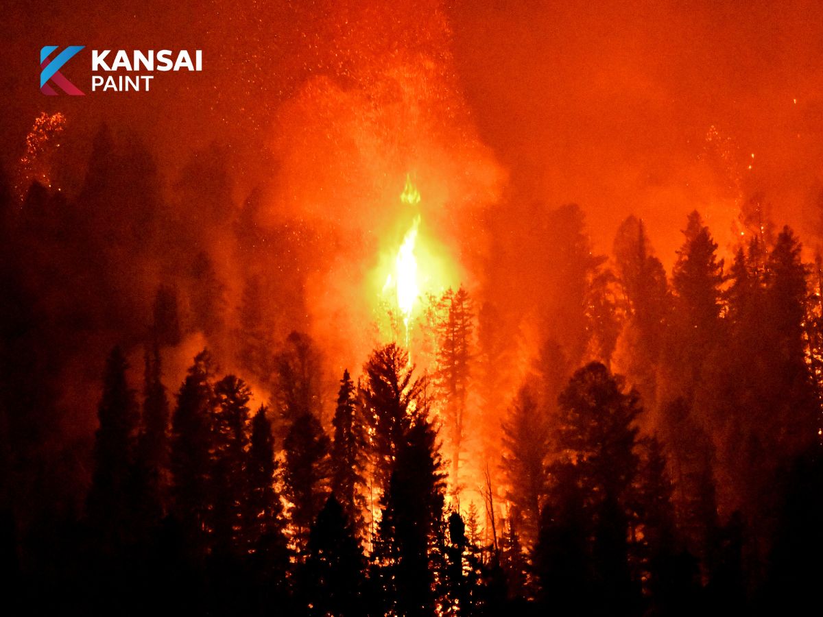 Mệnh hỏa sơn nhà màu trắng được không