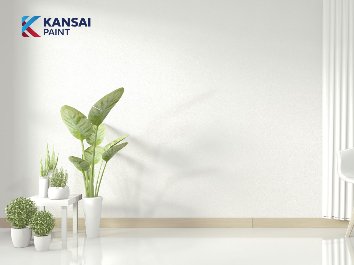 Mệnh hỏa sơn nhà màu trắng được không