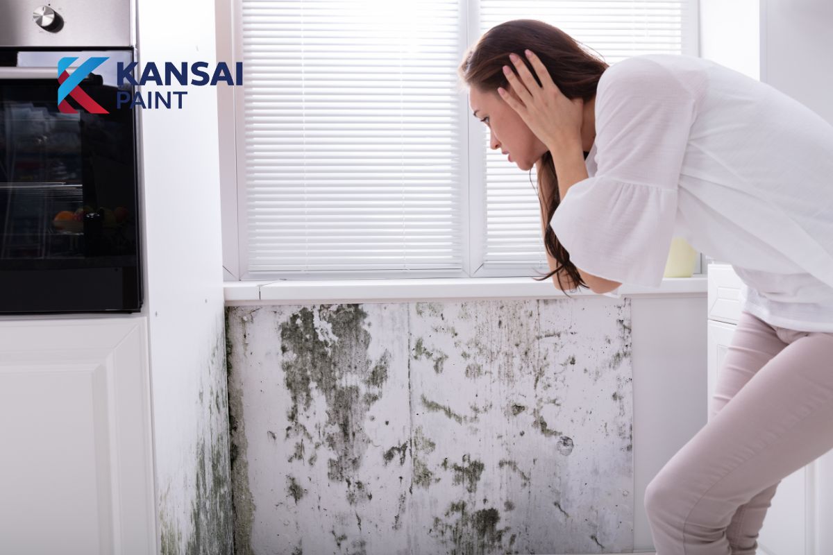 Nguyên nhân tường nhà bị mốc Nguyên nhân tường nhà bị mốc