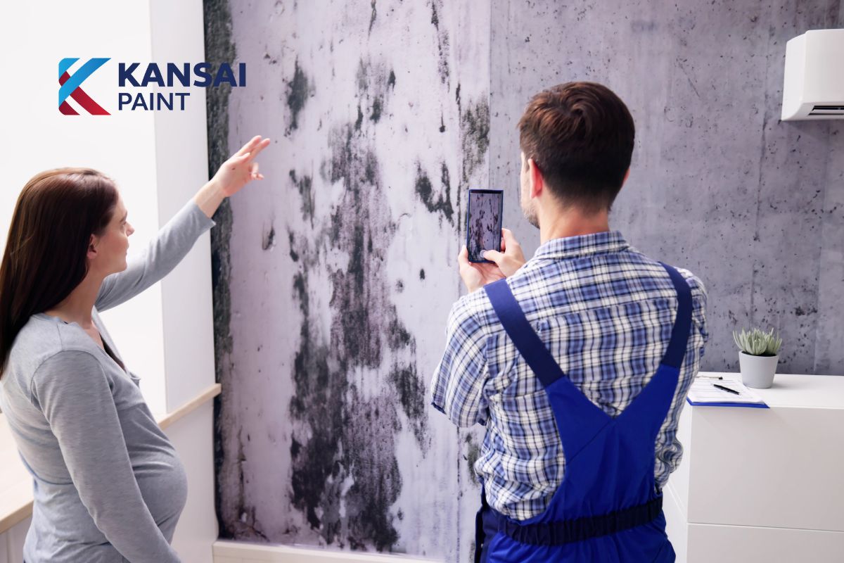 Nguyên nhân tường nhà bị mốc Nguyên nhân tường nhà bị mốc