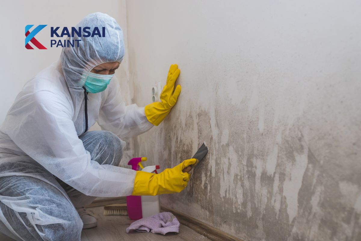 Nguyên nhân tường nhà bị mốc Nguyên nhân tường nhà bị mốc