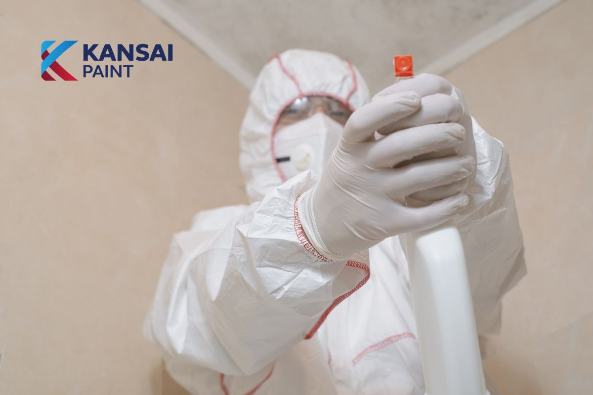 Nguyên nhân tường nhà bị mốc Nguyên nhân tường nhà bị mốc