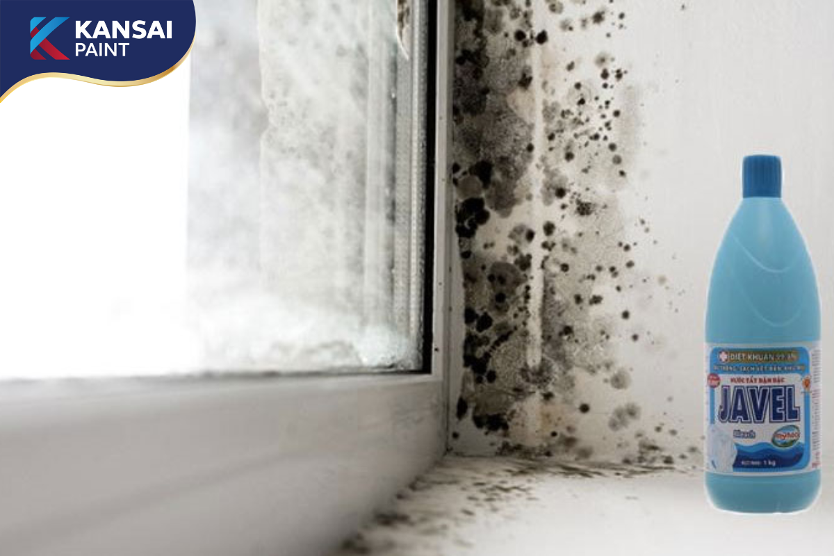 Làm sạch tường nhà bị bẩn