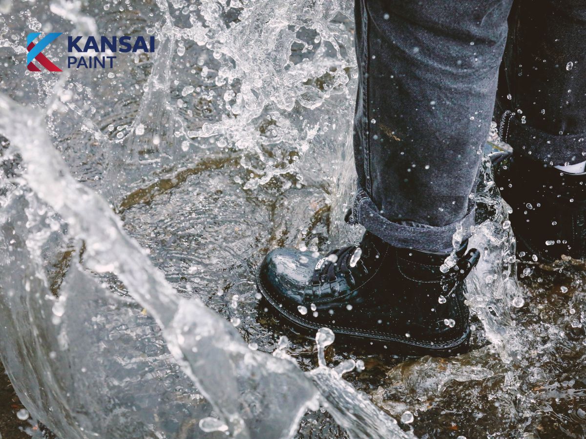 Sơn Chống Thấm Bao Nhiêu Tiền Sơn Chống Thấm Bao Nhiêu Tiền