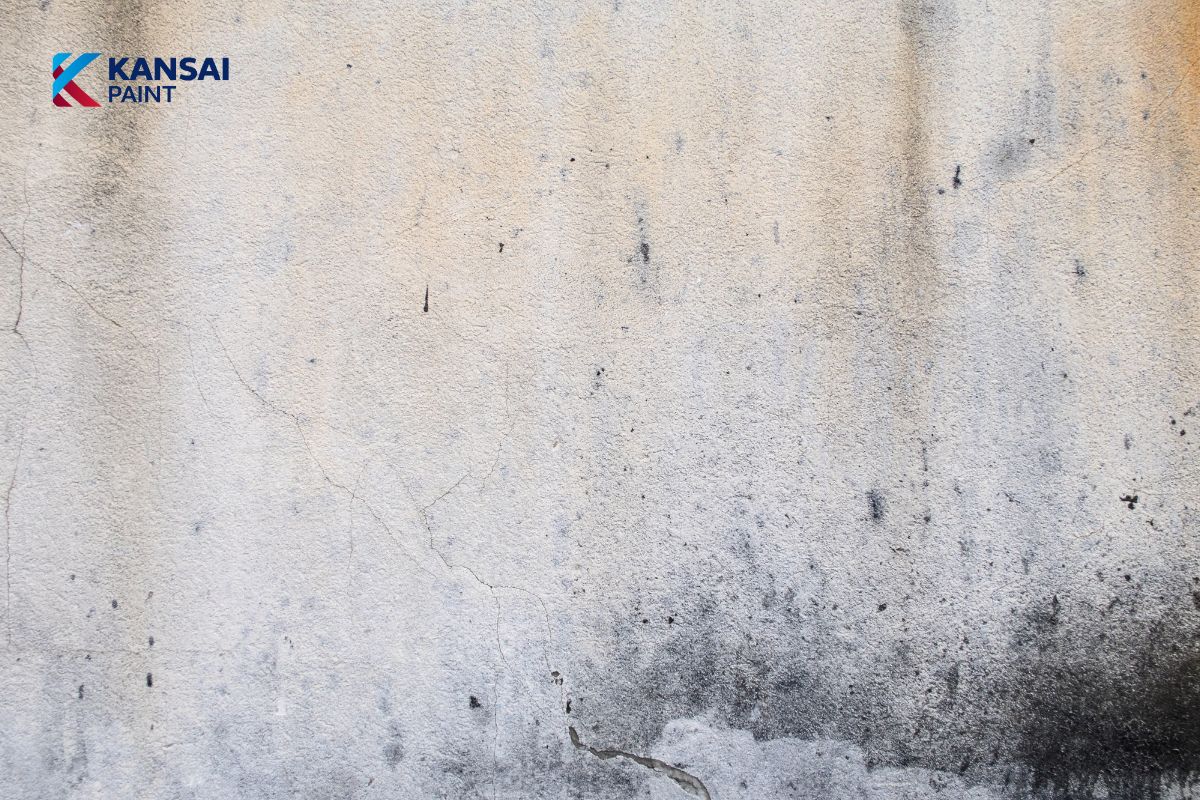 Cách Làm Sạch Tường Sơn Bị Bẩn Cách Làm Sạch Tường Sơn Bị Bẩn