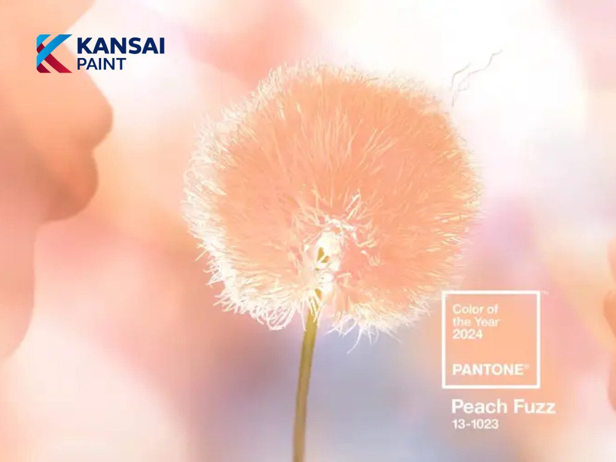 Color Of The Year 2024 Color Of The Year 2024