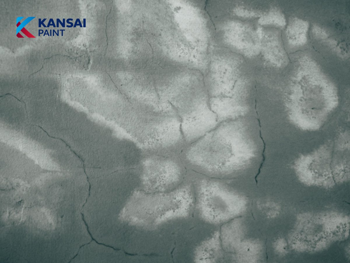 Nguyên Nhân Sơn Bị Loang Màu Nguyên Nhân Sơn Bị Loang Màu