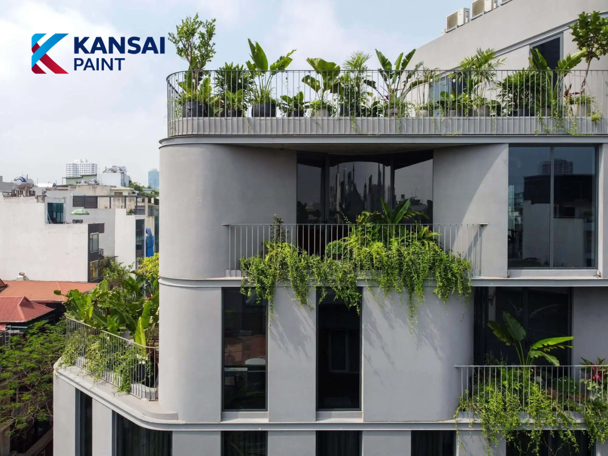 Sơn Giả Đá Sơn Giả Đá