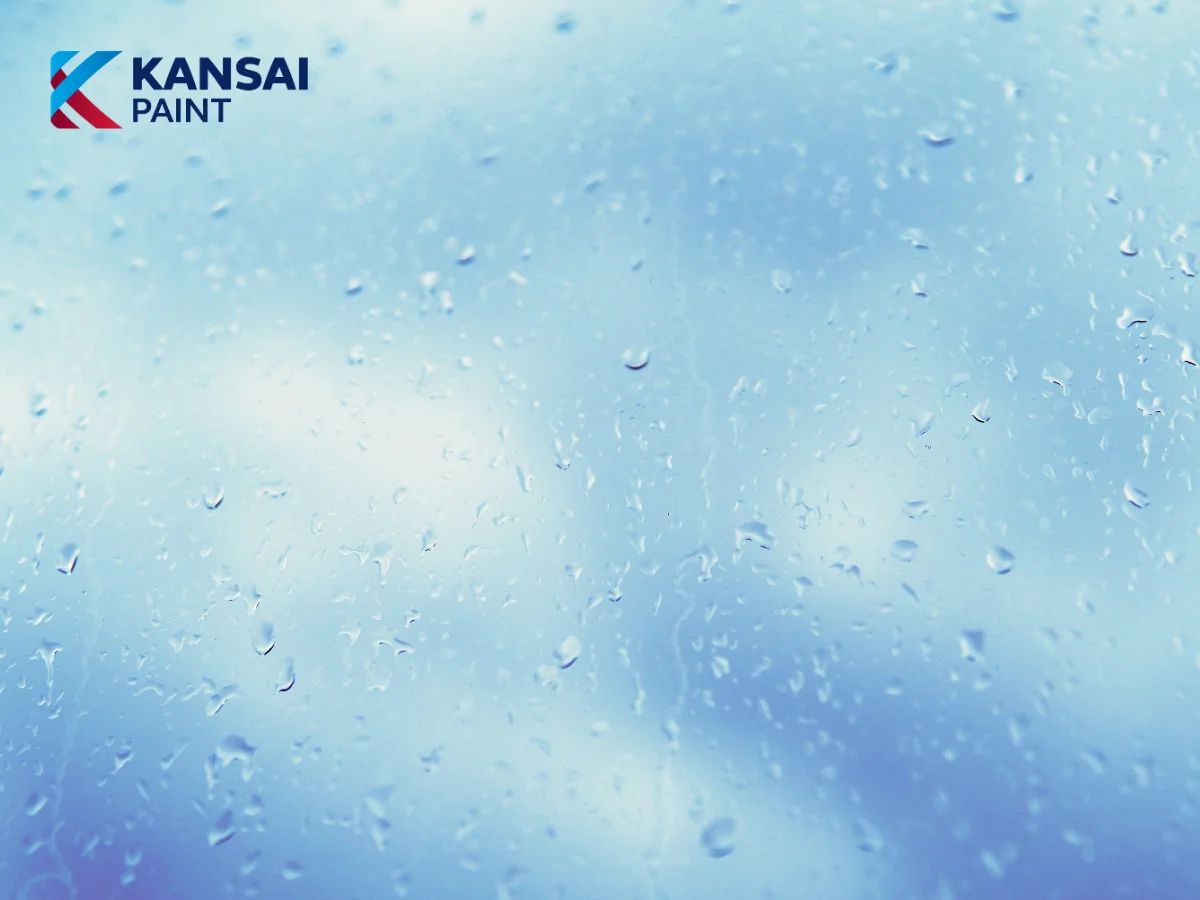 Trời Mưa Có Sơn Trong Nhà Được Không