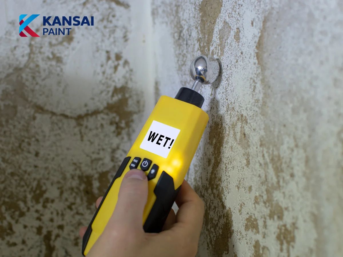 Trời Mưa Có Sơn Trong Nhà Được Không