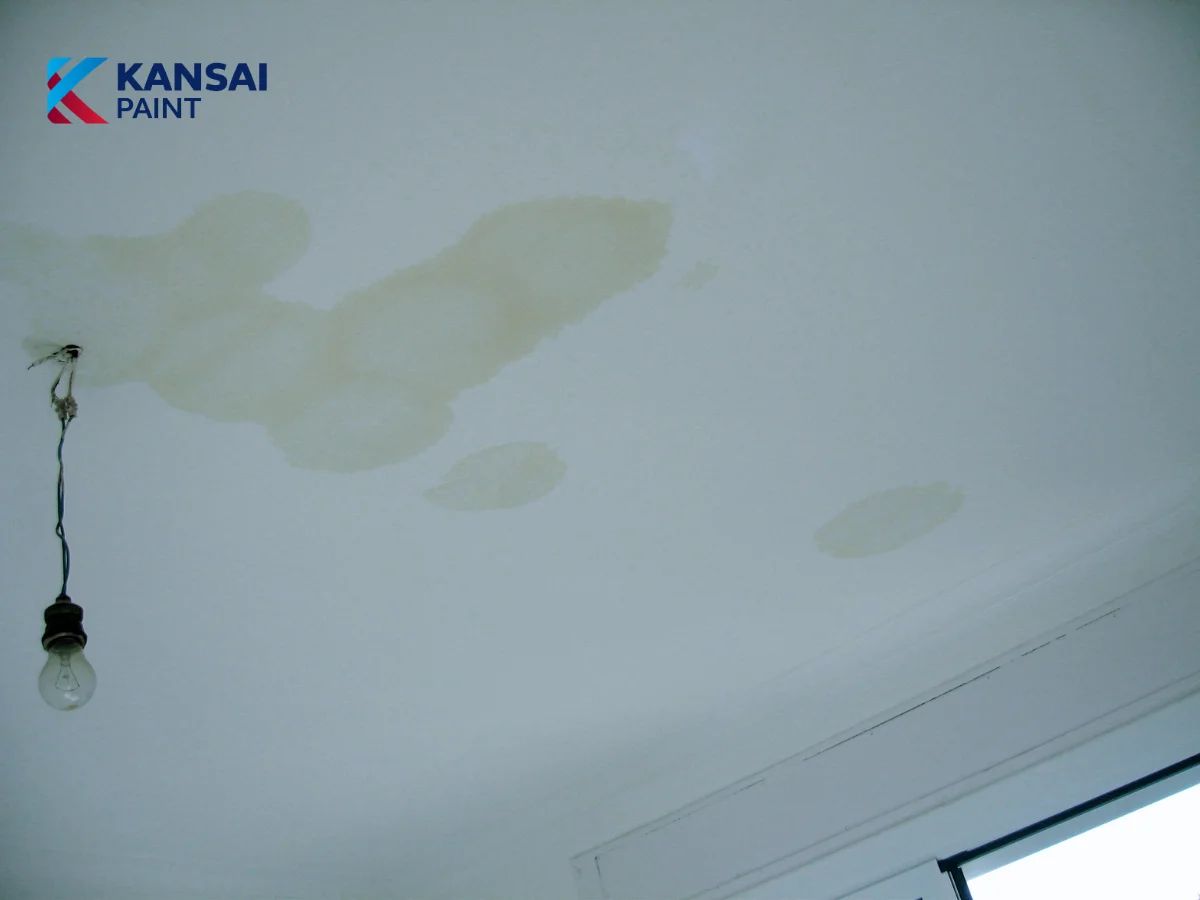 Loại Sơn Chống Thấm Tốt Nhất Hiện Nay Loại Sơn Chống Thấm Tốt Nhất Hiện Nay