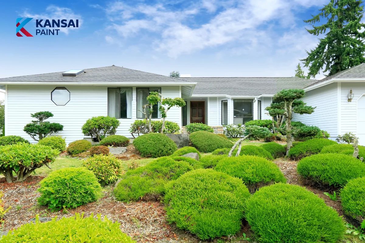 Chồng Mệnh Thổ Vợ Mệnh Mộc Sơn Nhà Màu Gì