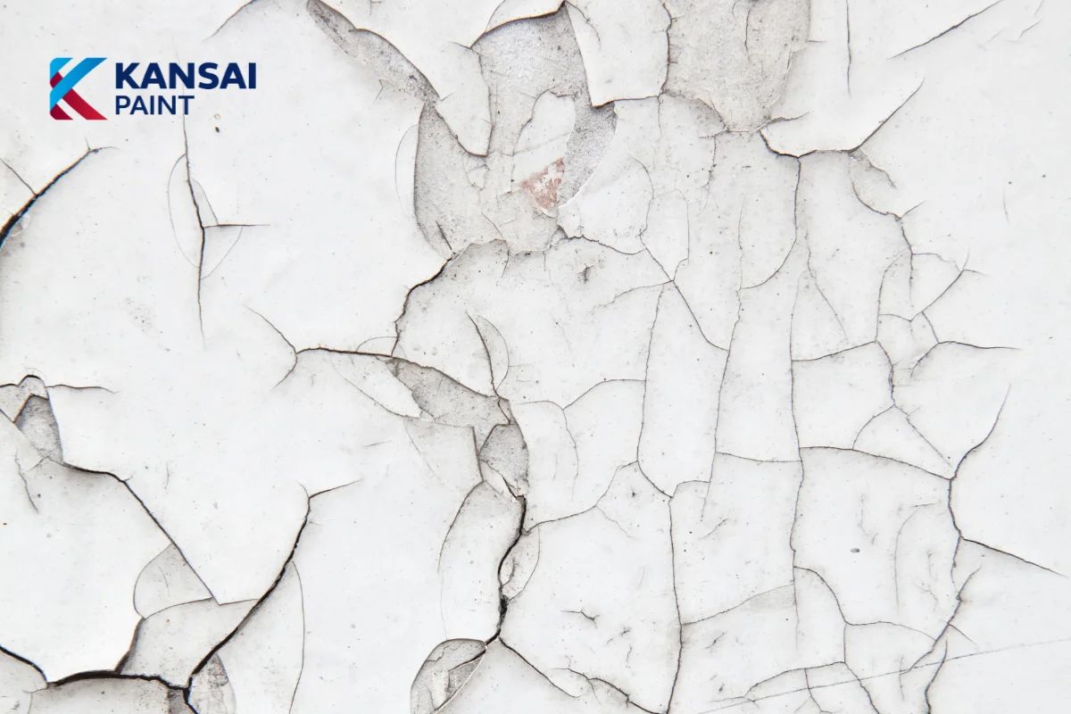 Cách Khắc Phục Tường Nhà Bị Nứt