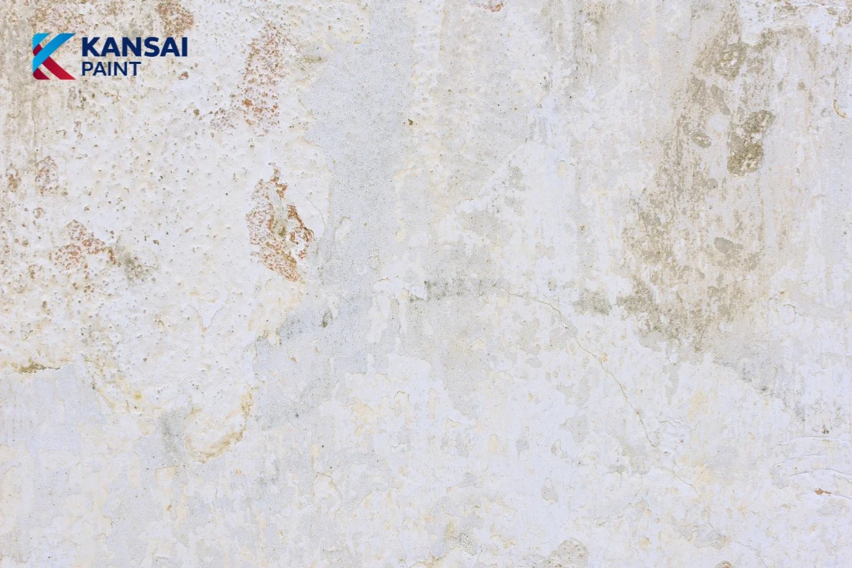 Tường Sơn Rồi Có Bả Được Không Tường Sơn Rồi Có Bả Được Không