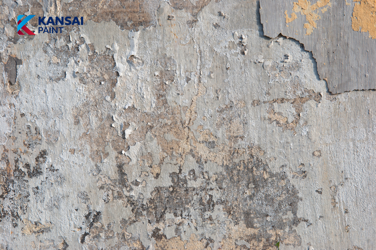 Cách xử lý tường bị mốc Biện Pháp Thi Công Cạo Bỏ Lớp Sơn Cũ