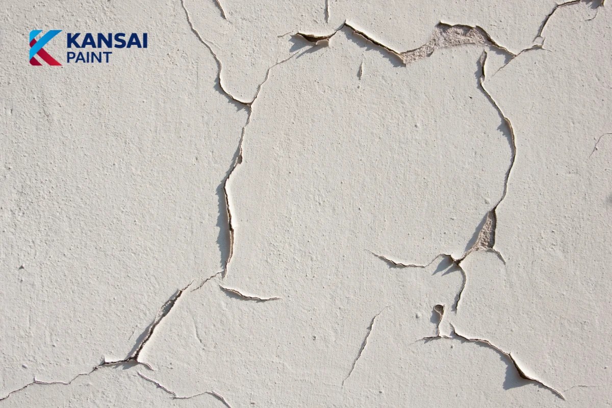 Tường Bị Tróc Sơn Thì Phải Làm Sao Tường Bị Tróc Sơn Thì Phải Làm Sao