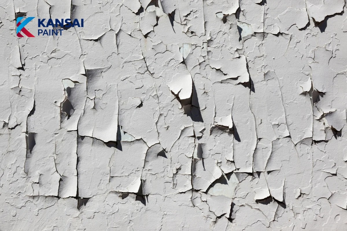 Tường Bị Tróc Sơn Thì Phải Làm Sao Tường Bị Tróc Sơn Thì Phải Làm Sao