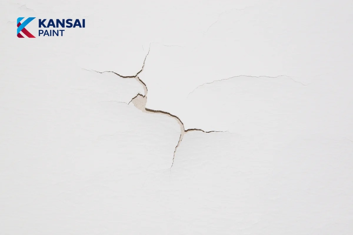 Tường Bị Tróc Sơn Thì Phải Làm Sao Tường Bị Tróc Sơn Thì Phải Làm Sao