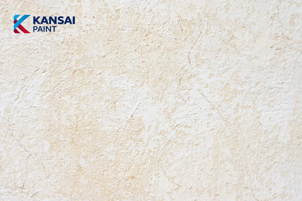 Tường Quét Vôi Có Sơn Được Không