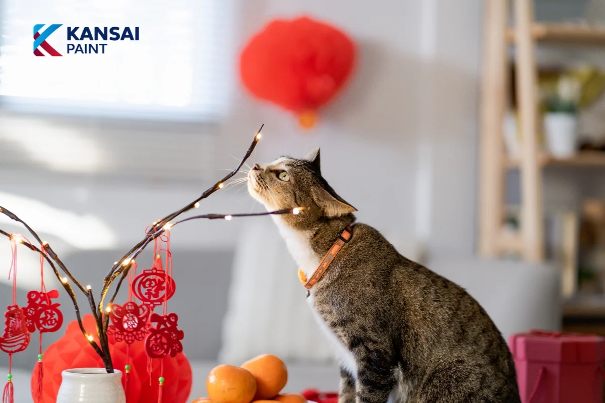 Màu Phong Thủy Theo Tuổi