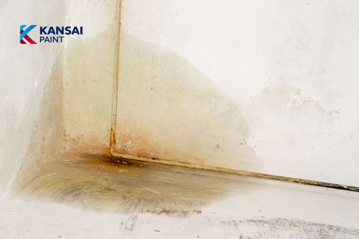 Chống Thấm Chân Tường