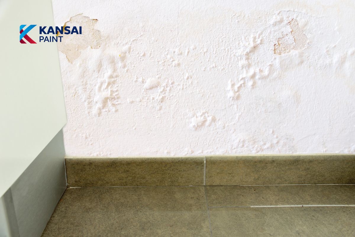 Chống Thấm Chân Tường