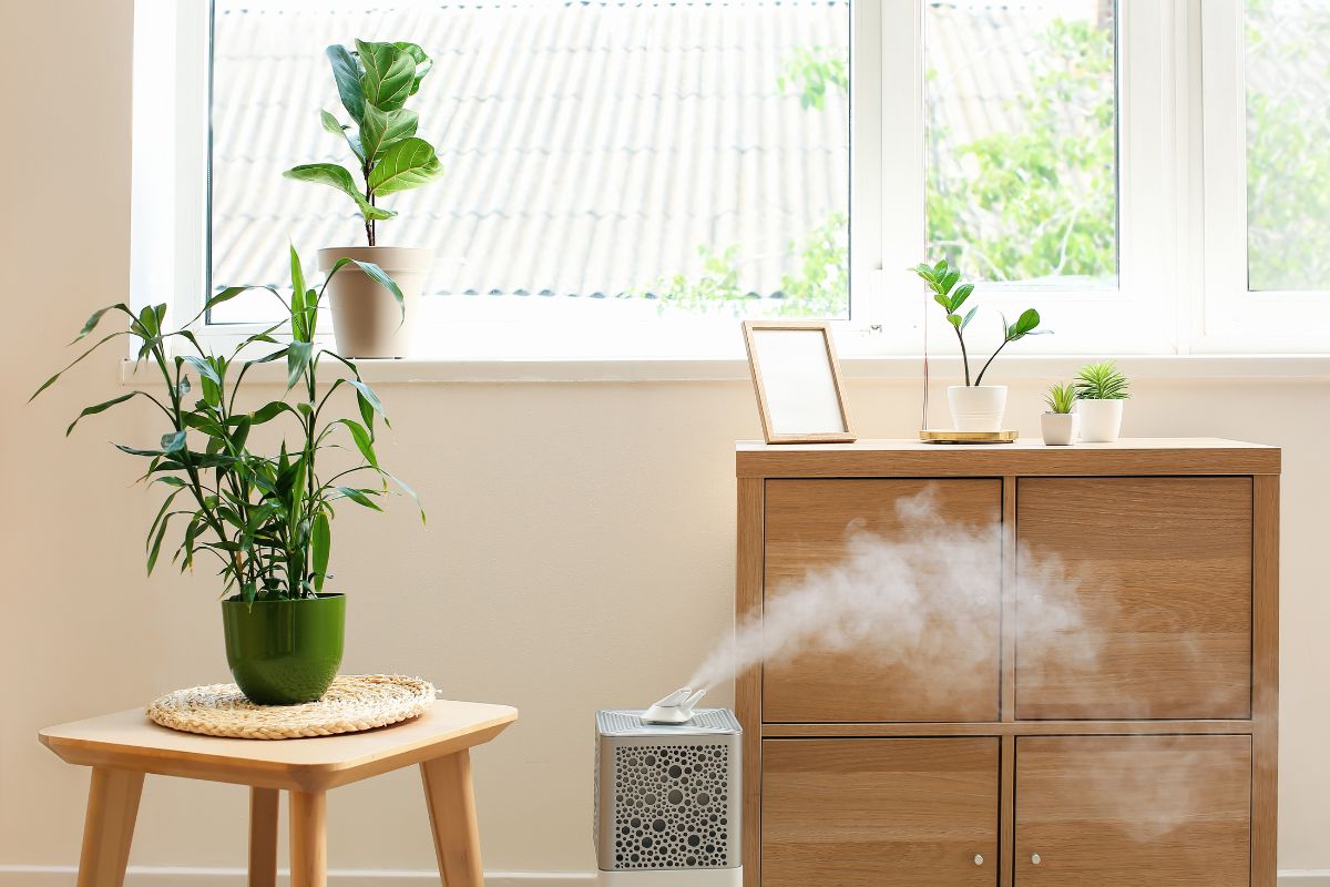 Tường Nhà Bị Mốc Trắng