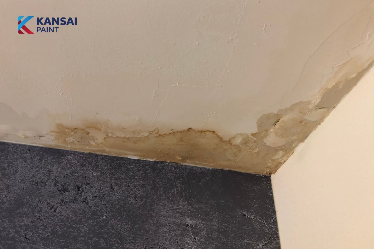 Sơn Chống Thấm Bên Trong Nhà