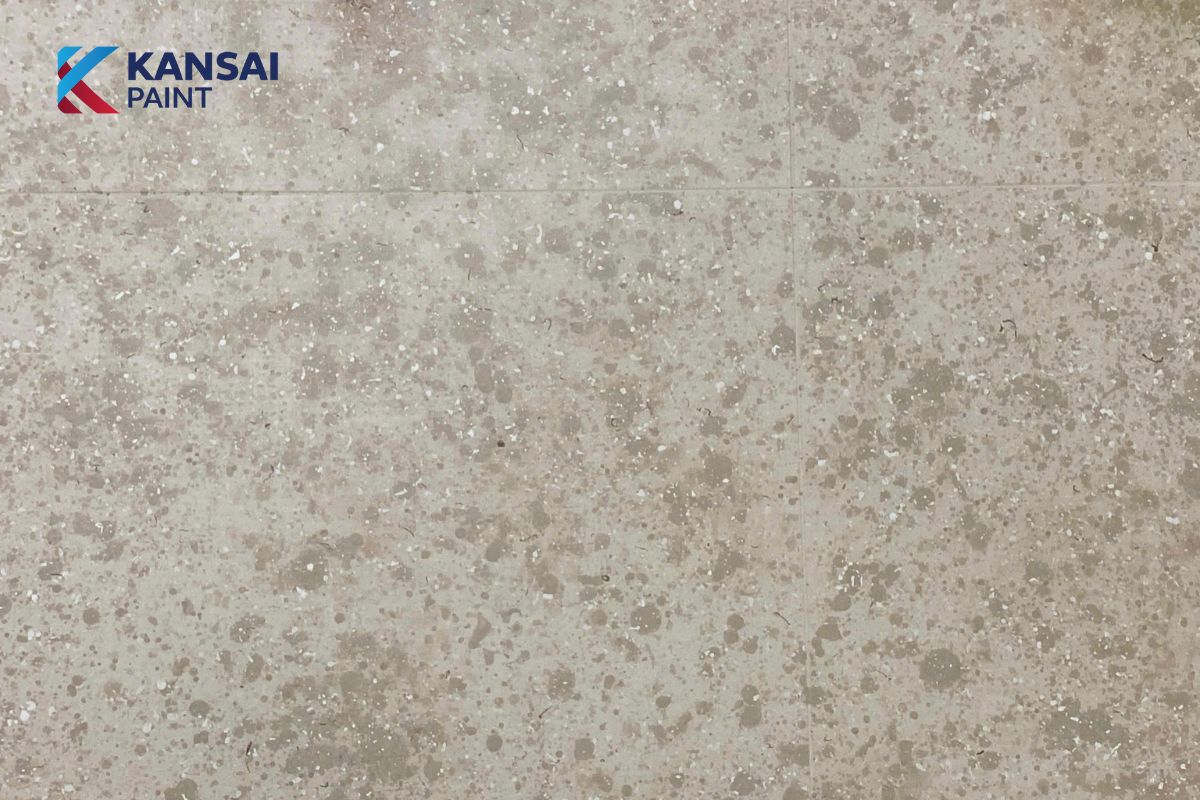 Sơn Giả Đá Trong Nhà