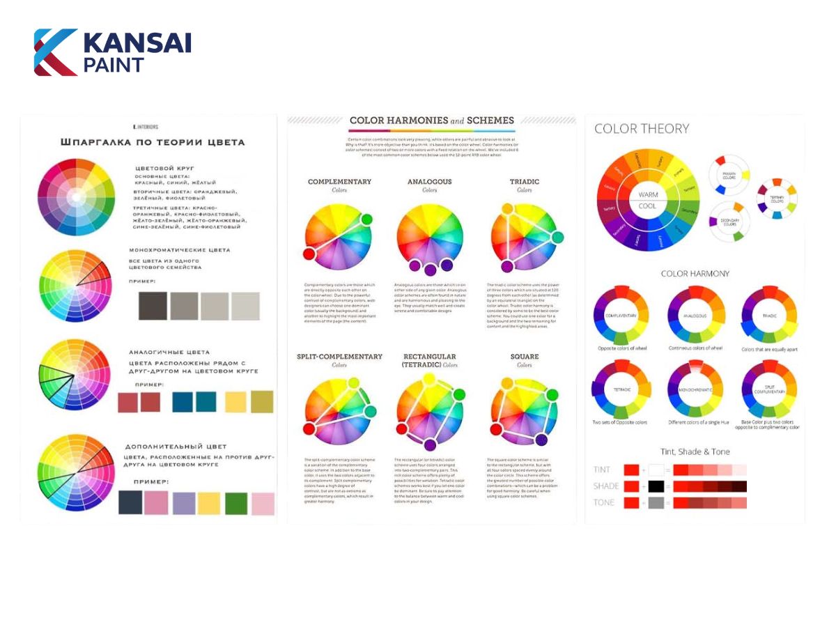 Bảng Màu Thuần Sắc