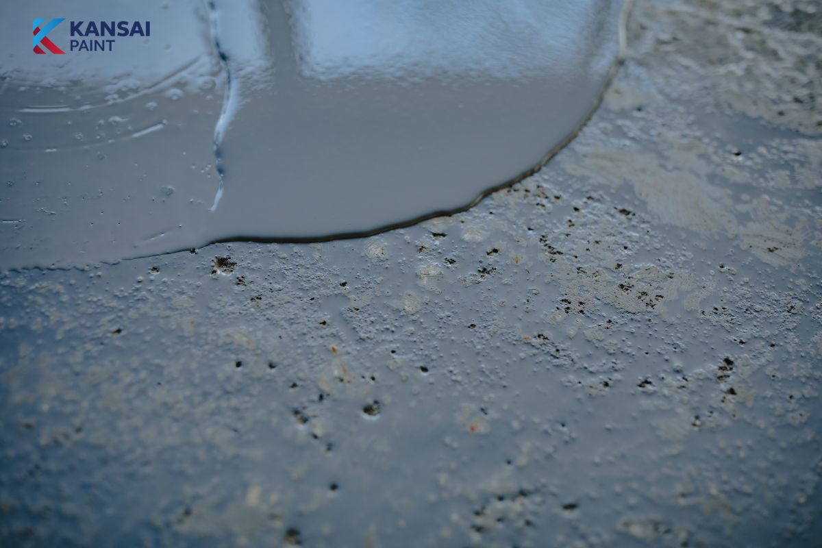 Sơn Epoxy Chống Thấm Sân Thượng Sơn Epoxy Chống Thấm Sân Thượng