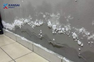 Cách Xử Lý Tường Sơn Bị Sùi