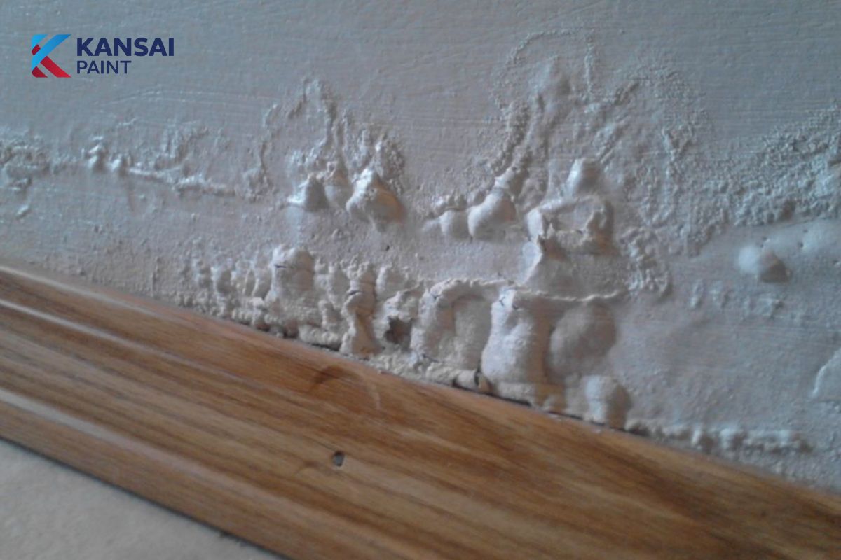 Cách Xử Lý Tường Sơn Bị Sùi