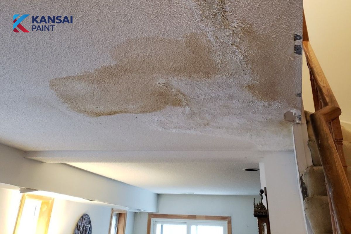 Cách Xử Lý Tường Sơn Bị Sùi