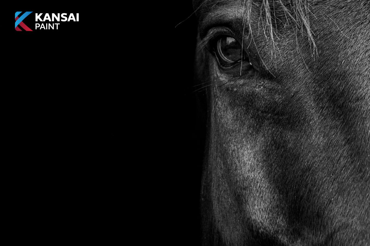 Năm 2026 Là Năm Con Gì Mệnh Gì