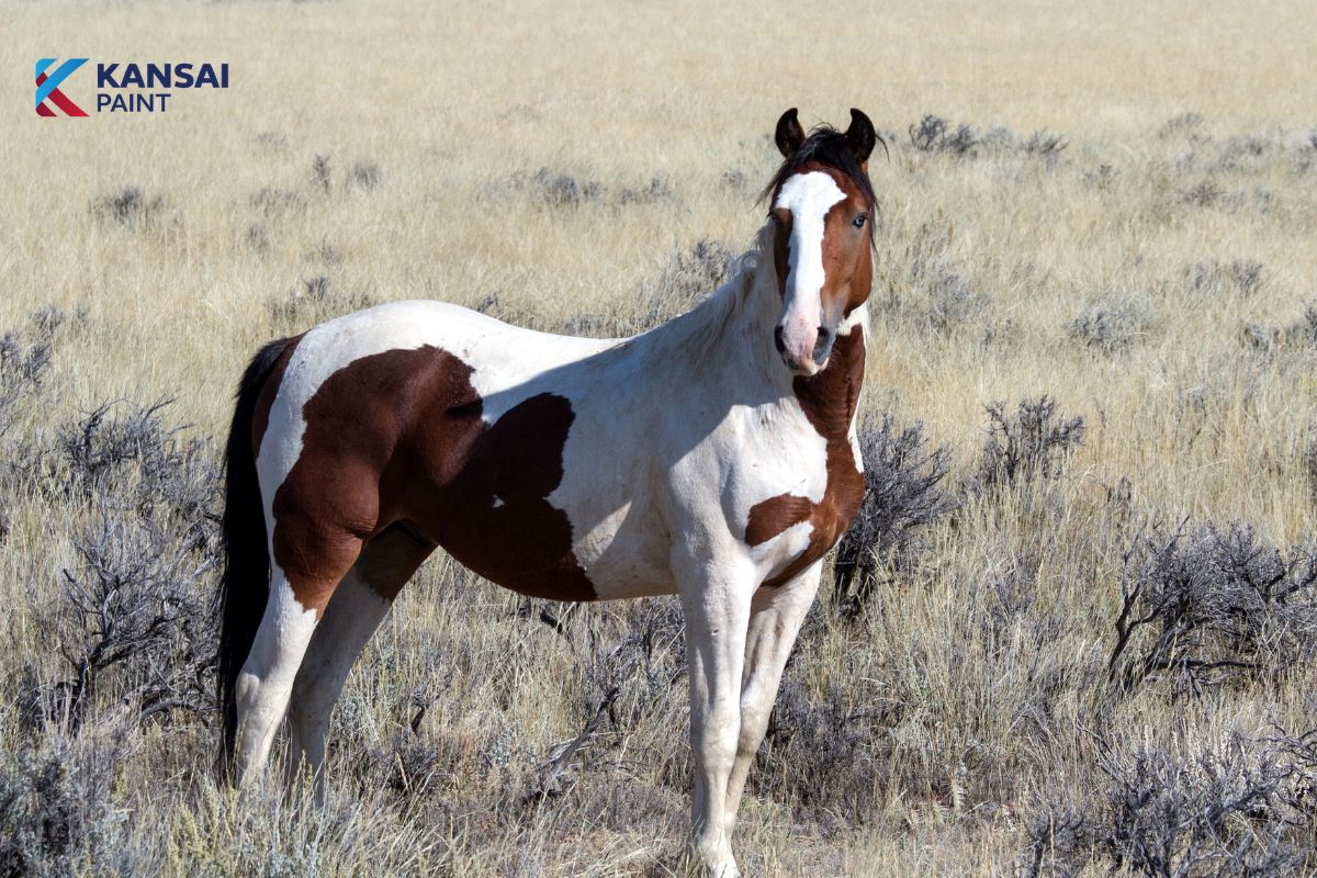 Năm 2026 Tuổi Nào Làm Nhà Đẹp Nhất