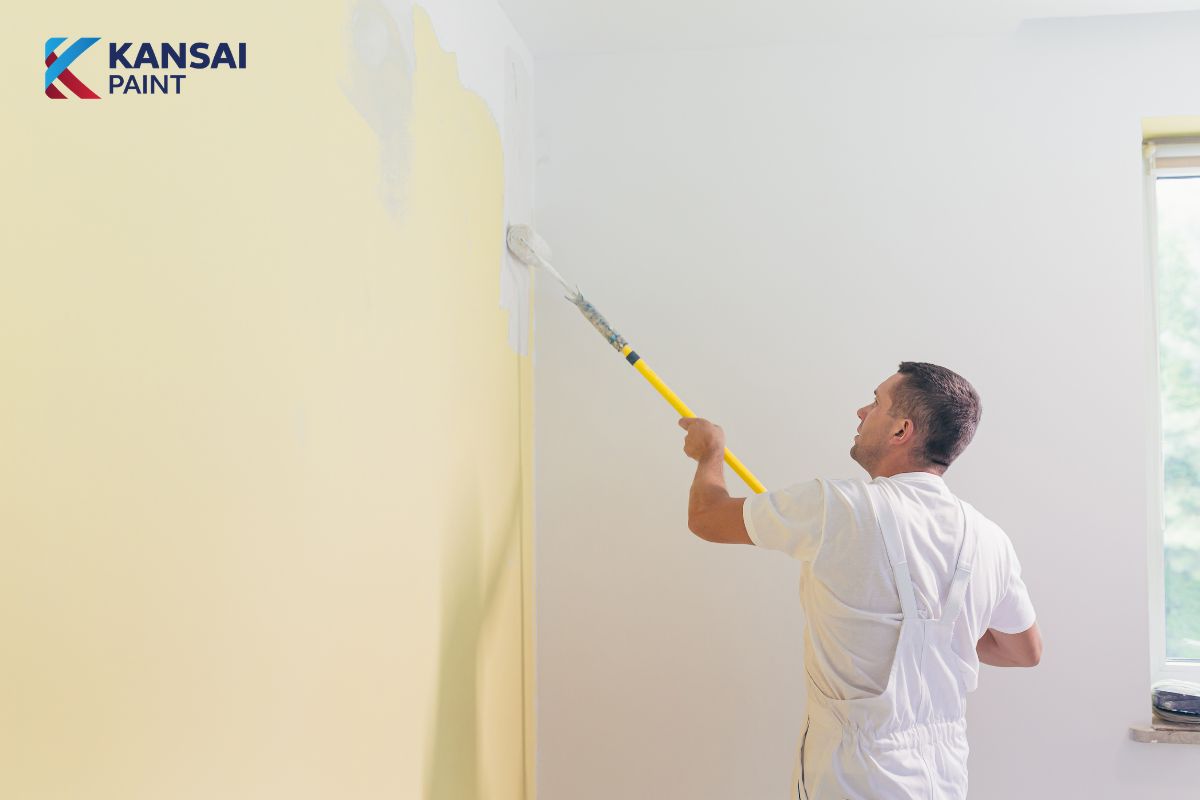 Tường Nứt Chân Chim Tường Nứt Chân Chim