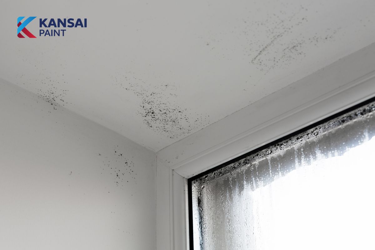 Cách Xử Lý Tường Nhà Mới Xây Bị Thấm Nước 