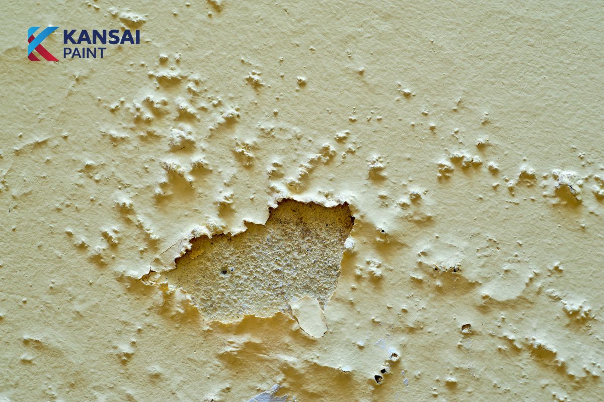Cách Xử Lý Tường Nhà Mới Xây Bị Thấm Nước 