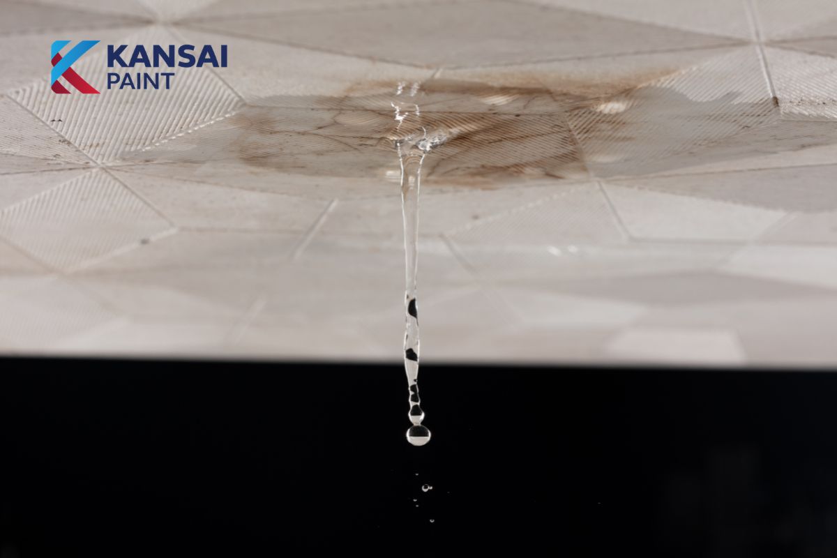Tường bị thấm nước phải làm sao
